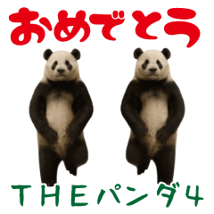 [LINEスタンプ] THEパンダ4