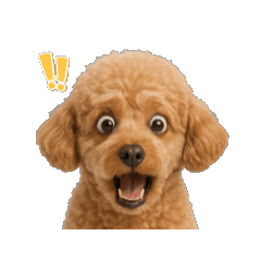 [LINEスタンプ] 表情で伝える♡トイプースタンプ