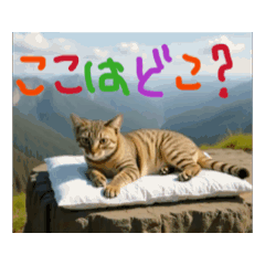 [LINEスタンプ] お酒とネコ好きな日常会話56
