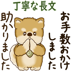 [LINEスタンプ] 動く柴犬さん 2025 「丁寧な長文」