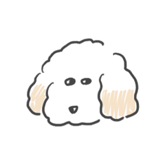 [LINEスタンプ] トイプードルのまるおくん2 