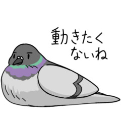 [LINEスタンプ] 眉毛付き身近な鳥スタンプ