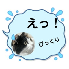 [LINEスタンプ] ペットちゃん10