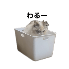 [LINEスタンプ] わるいちっち