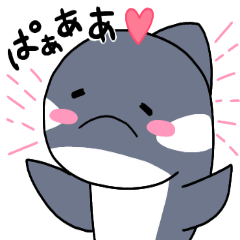 [LINEスタンプ] シャチノコさん 
