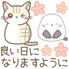 [LINEスタンプ] 毎日ずっと使える☆ネコシマコンビ