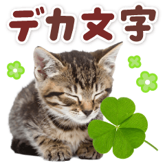 [LINEスタンプ] 毎日使える♪リアルなにゃんこ2