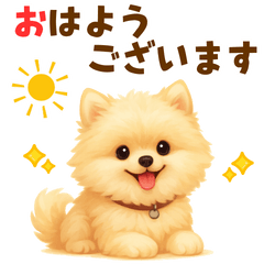 [LINEスタンプ] ポメラニアン好きのためのかわいい日常