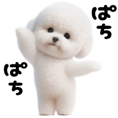 [LINEスタンプ] 踊る！ビションフリーゼ