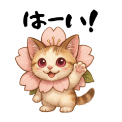 [LINEスタンプ] 桜にゃん③,,,,