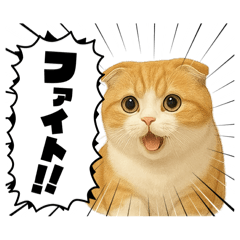 [LINEスタンプ] 『スコティッシュフォールド』のスタンプ②