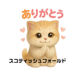 [LINEスタンプ] かわいいスコティッシュの日常会話