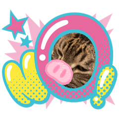 [LINEスタンプ] さむちゃんのにちじょうだよ