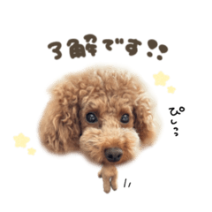 [LINEスタンプ] りむるくん☆mix