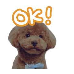 [LINEスタンプ] 写真でスタンプ作ってみたらこんなのできた