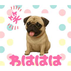[LINEスタンプ] 『パグ』のスタンプ
