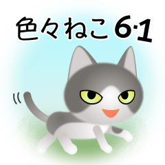 [LINEスタンプ] 色々な猫6-1 短毛-立ち耳-グレー白