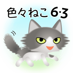 [LINEスタンプ] 色々な猫6-3 長毛-立ち耳-グレー白