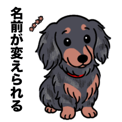 [LINEスタンプ] 名前入りダックスロングシルバーダップル