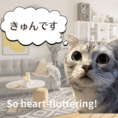 [LINEスタンプ] 長崎弁×English ゆるトークスタンプ vol.1