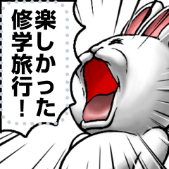 [LINEスタンプ] どうぶつが大好き02_pop_message_α