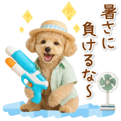 [LINEスタンプ] ⚡飛び出すトイプードルの「夏」の毎日