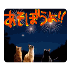[LINEスタンプ] お酒とネコ好きな日常会話57
