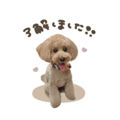 [LINEスタンプ] 音ちゃん♡スタンダード