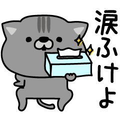 [LINEスタンプ] にゃむ猫ちゃぽ挨拶適当っちゃ適当