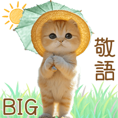 [LINEスタンプ] 麦わら帽ネコ 思いやり 気づかい 敬語 BIG