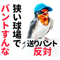 [LINEスタンプ] 【野球】送りバント反対党の燕ファンつばめ