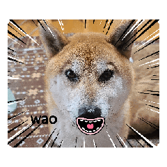 [LINEスタンプ] Leo-ne 