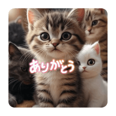 [LINEスタンプ] 猫ちゃん スタンプ あいさつ