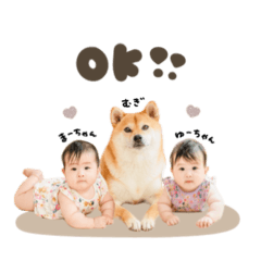 [LINEスタンプ] むぎちゃん.スタンダード
