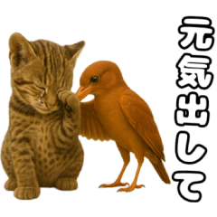 [LINEスタンプ] 八重山諸島の仲間達