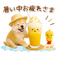 [LINEスタンプ] ▶動く癒し柴犬の「夏」の毎日