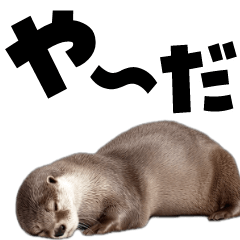 [LINEスタンプ] 動く！デカ文字カワウソ2