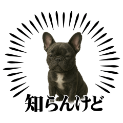 [LINEスタンプ] 『フレンチブルドッグ』のスタンプ①