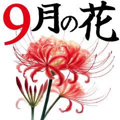 [LINEスタンプ] 9月 秋の花 大きくて見やすい挨拶スタンプ