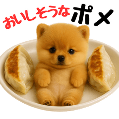 [LINEスタンプ] おいしそうなポメラニアン