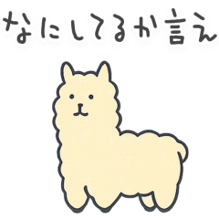[LINEスタンプ] 彼女に送るシュールなどうぶつ【彼氏】