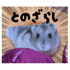 [LINEスタンプ] とのまるでち。