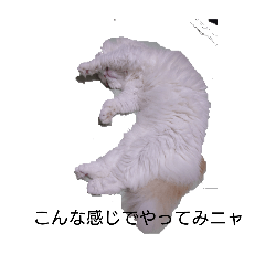 [LINEスタンプ] りんちゃんとルルさんの言い分