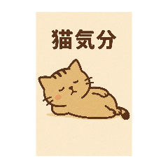 [LINEスタンプ] 今日の猫の画像