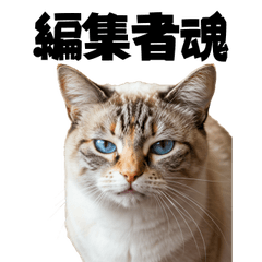 [LINEスタンプ] プロ意識がある編集者猫