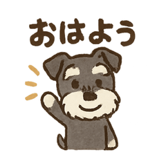 [LINEスタンプ] シュナウザーといっしょです