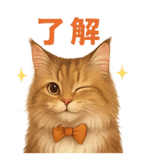 [LINEスタンプ] 猫いろいろ日常会話14