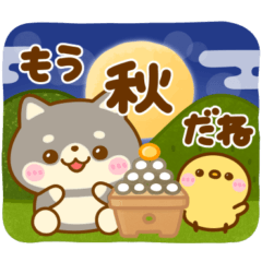 [LINEスタンプ] 秋に役立つ♡豆柴日和