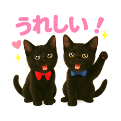 [LINEスタンプ] 仲良し黒猫ちゃん