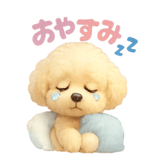 [LINEスタンプ] ふわふわトイプードルのスタンプ3
